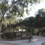 Reina Sofía Park